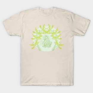 Succulent Sprite - aeonium aureum T-Shirt